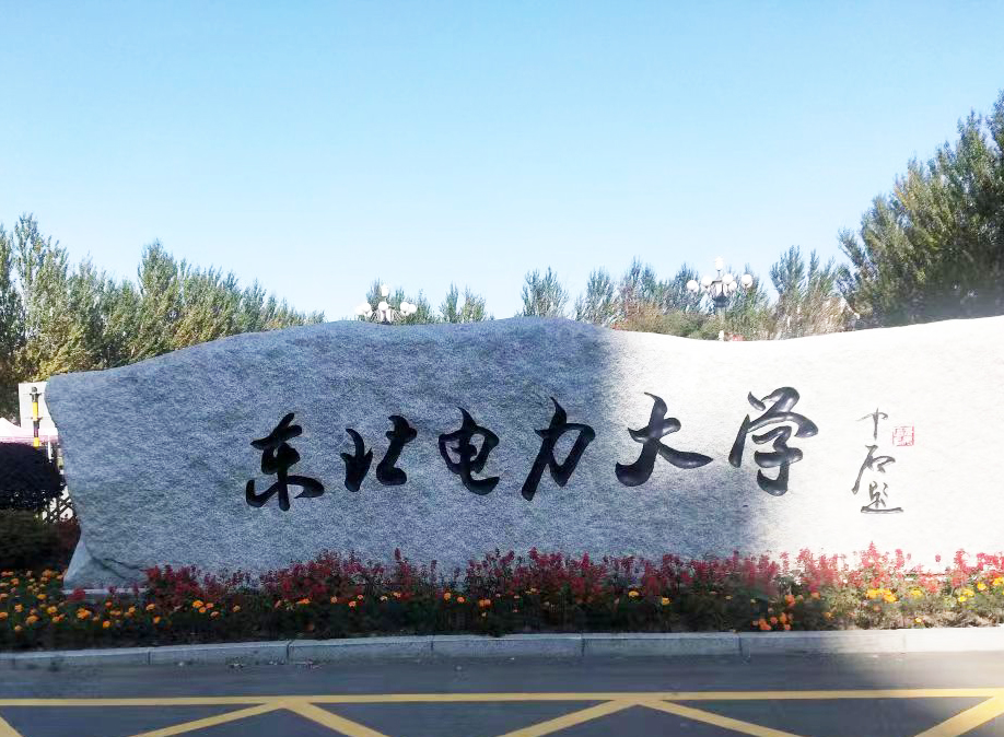 东北电力大学采购南京快猫成人APP下载的DZ-DSC300C国产无码AV快猫
